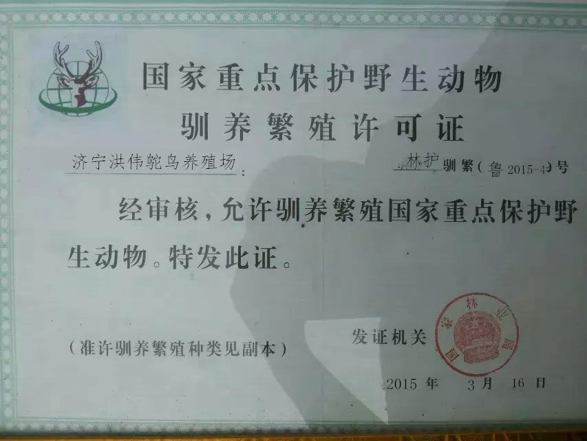哪些除草剂对谷子(小米)安全 微信名为艾比的农资经销商3月31日通过农资导报官方微信问:目前市场上有对谷子(小米)安全的除草剂吗 中国农科院植保所农药厂赵占周答:由于谷子在国内种植面积小,属于小作物,目前市场上没有合适的除草剂。苗前可以使用单嘧磺隆(我国自主研发专利产品)进行封闭,但目前该类产品在市场上还没有推广开,苗后的只有24-D丁酯之类的除草剂,仅限于除治阔叶杂草,对于禾本科杂草,暂时还没有合适的苗后除草剂。河北省农林科学研究院前几年推广过一个谷子品种,但市场推广效果不好。 江苏省宿迁市