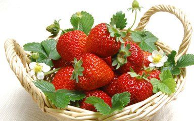 泰兴草莓苗哪里最便宜
