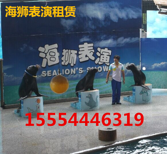 临沂海洋展出租水母出租